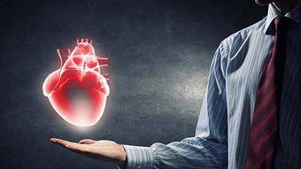 心脏复视频,揭秘生命泵动的奥秘与奇迹