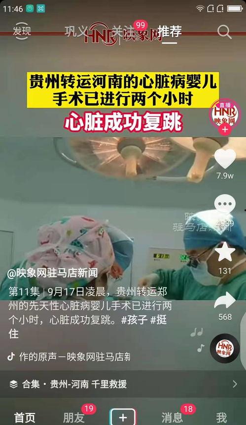 心脏复视频,揭秘生命泵动的奥秘与奇迹