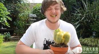 吃仙人掌视频,揭秘仙人掌美食之旅