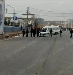 惜福镇科二考试视频,揭秘驾考技巧与实战经验