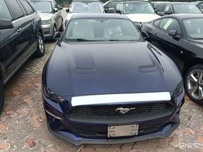 野马测试视频,揭秘极限驾驶的惊险瞬间