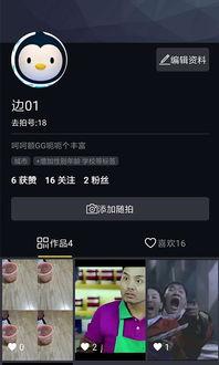 拍短视频软件,轻松记录生活,分享精彩瞬间